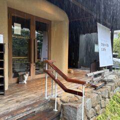雨の日のこよりどうカフェ　