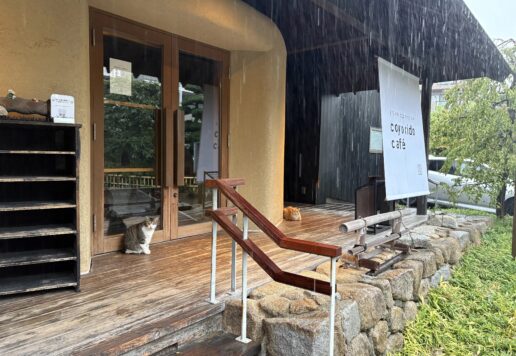 雨の日のこよりどうカフェ　